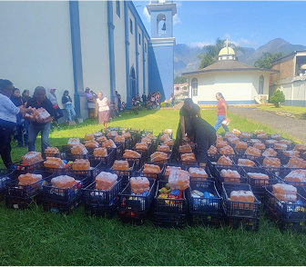 Actividades en el campo